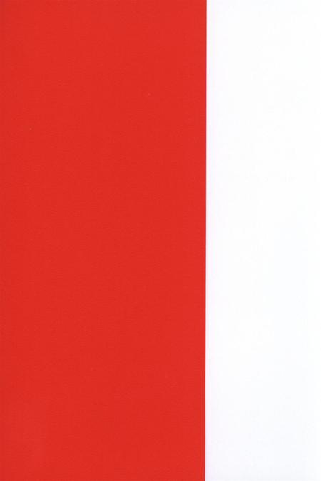 中华人民共和国70年广安大事纪略.pdf电子版_四川省志插图1