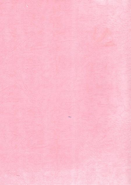 中国共产党临武历史1921～1949（评审稿）.pdf电子版_湖南省志插图1