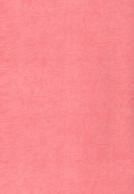 中国共产党临武历史第二卷（1949—1978）.pdf电子版_湖南省志插图1