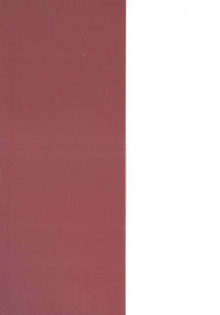 中国共产党桂阳历史第一卷（1921—1949）.pdf电子版_湖南省志插图1