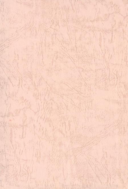 中国共产党湘潭历次代表大会资料简介.pdf电子版_湖南省志插图1