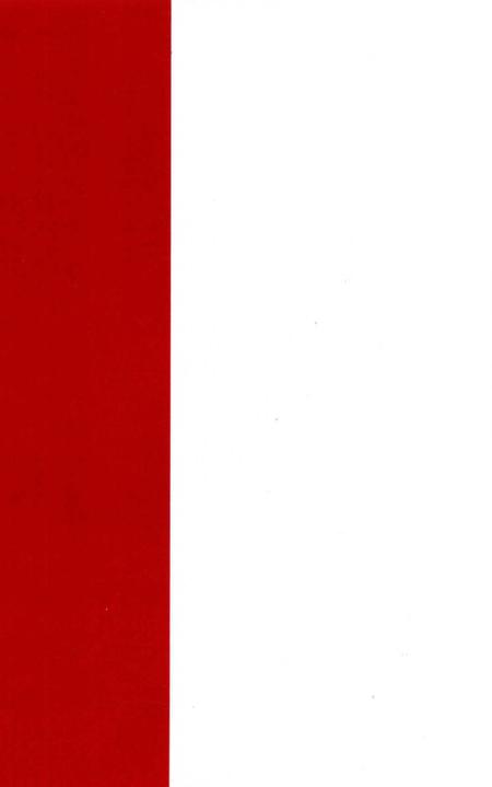 中国共产党界首市历史 第一卷.pdf电子版_安徽省志插图1