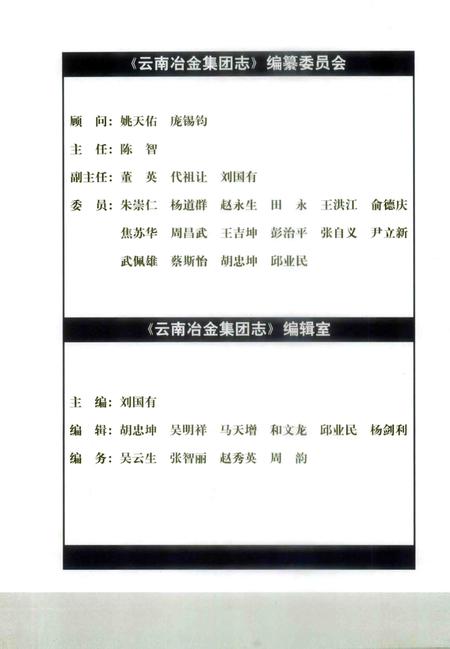 云南冶金集团志  1983-2003年.pdf电子版_云南省志插图2