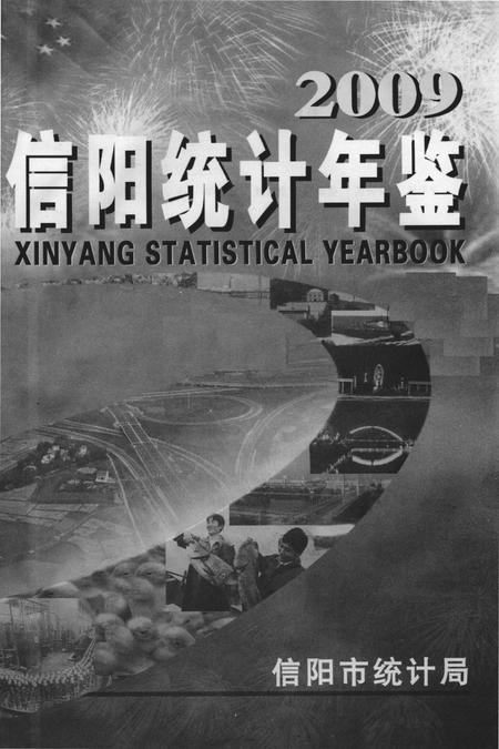 信阳统计年鉴2009.pdf电子版_河南省志插图2
