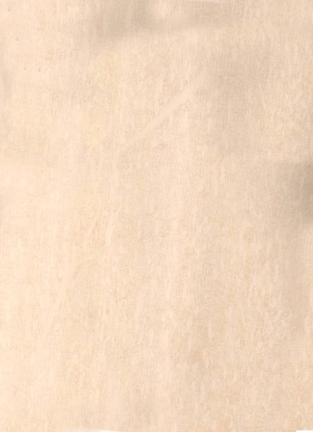 北湖年鉴（2006）.pdf电子版_湖南省志插图2