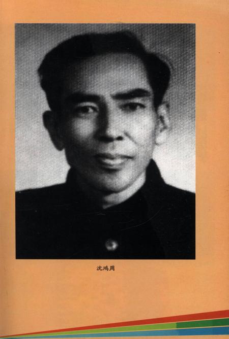 十万大山忠诚儿子–沈鸿周.pdf电子版_广西壮族自治区志插图2