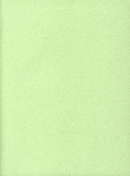 华龙年鉴2013.pdf电子版_四川省志插图2