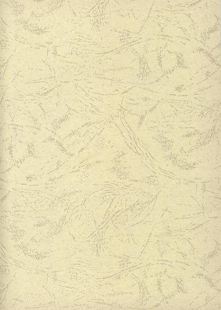 台前年鉴2008.pdf电子版_河南省志插图2