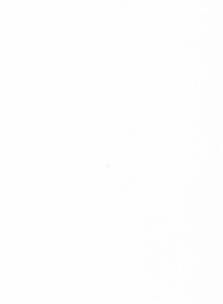 台前年鉴2015.pdf电子版_河南省志插图2