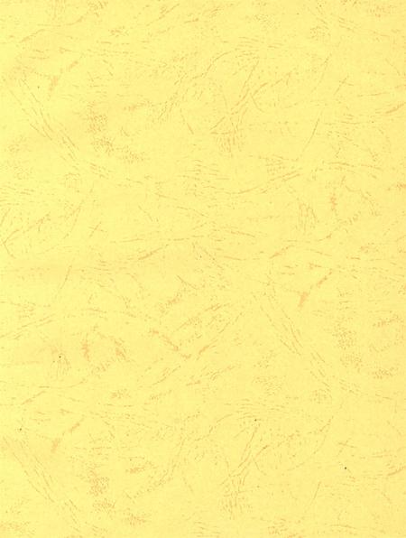 宝丰县政协志（1949～2010年）.pdf电子版_河南省志插图2