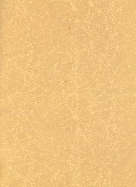 岳阳年鉴（2004）.pdf电子版_四川省志插图2