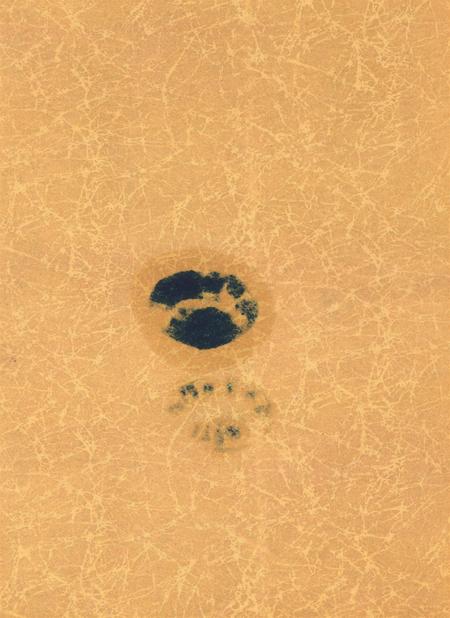 岳阳年鉴（2005）.pdf电子版_四川省志插图2