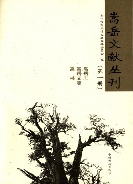 嵩岳文献丛刊（第二册）.pdf电子版_河南省志插图2