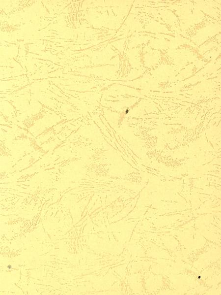 平顶山市精神文明建设年鉴（2006）.pdf电子版_河南省志插图2