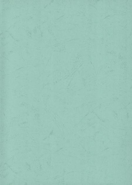 广西烟草行业志.防城港烟草志.pdf电子版_广西壮族自治区志插图2