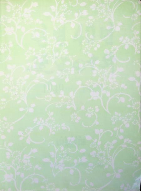 延边四十年.pdf电子版_吉林省志插图2