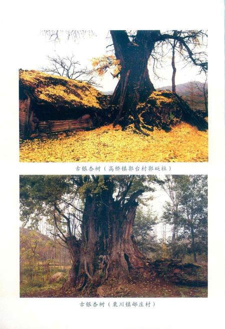 徽县文史资料第39期.pdf电子版_甘肃省志插图2