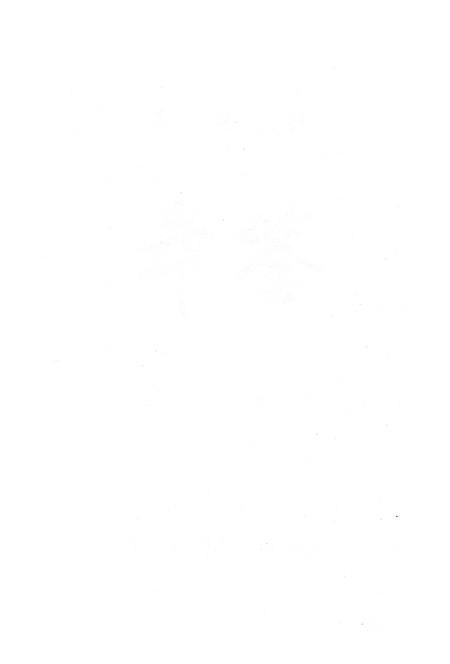 河南省濮阳县年鉴.pdf电子版_河南省志插图2