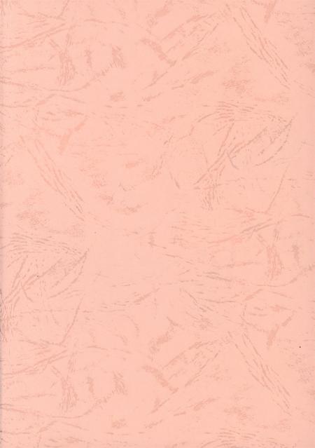 港口区大事记（1993.5-2003.5）.pdf电子版_广西壮族自治区志插图2