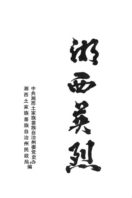 湘西英烈.pdf电子版_湖南省志插图2