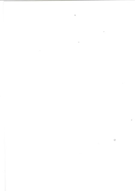 濮阳华龙区年鉴2008.pdf电子版_河南省志插图2