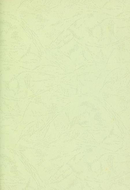 玉环年鉴2008.pdf电子版_浙江省志插图2