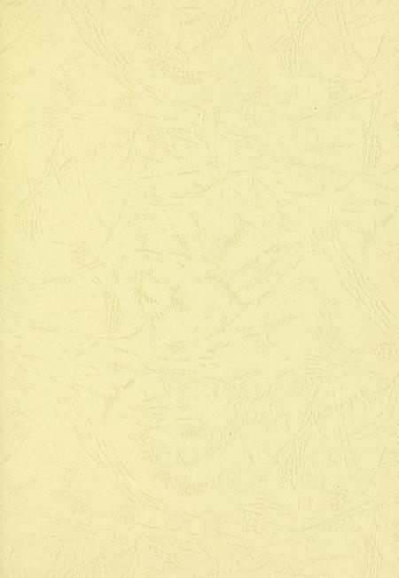 玉环年鉴2009.pdf电子版_浙江省志插图2