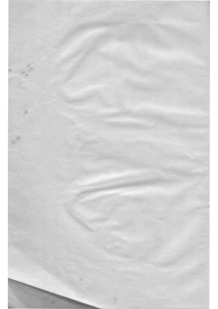 琅琊山志  评议稿.pdf电子版_安徽省志插图2