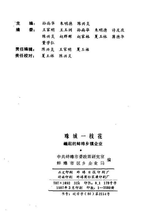 珠城一枝花  崛起的蚌埠乡镇企业.pdf电子版_安徽省志插图2
