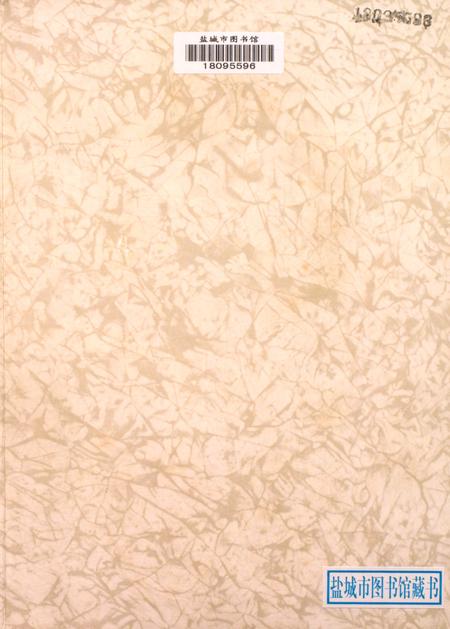 盐城年鉴 1999.pdf电子版_江苏省志插图2