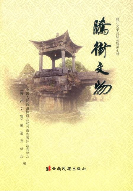 腾冲文物.pdf电子版_云南省志插图2