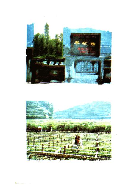 祁门古今.pdf电子版_安徽省志插图2