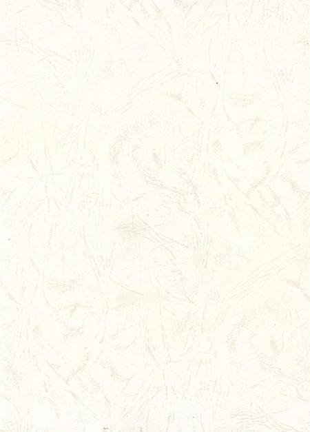 自贡年鉴2010.pdf电子版_四川省志插图2