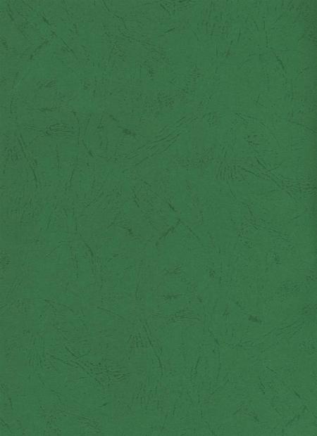 简阳年鉴·2004.pdf电子版_四川省志插图2