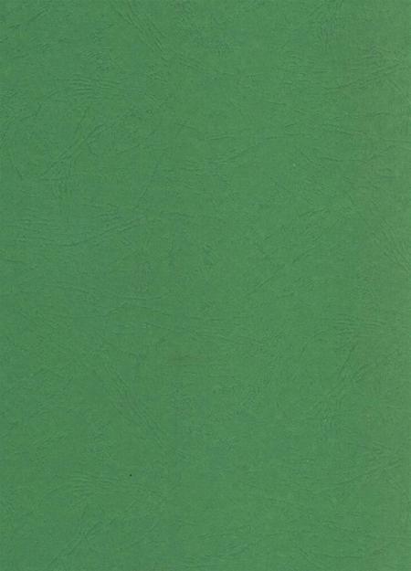 简阳年鉴·2007.pdf电子版_四川省志插图2