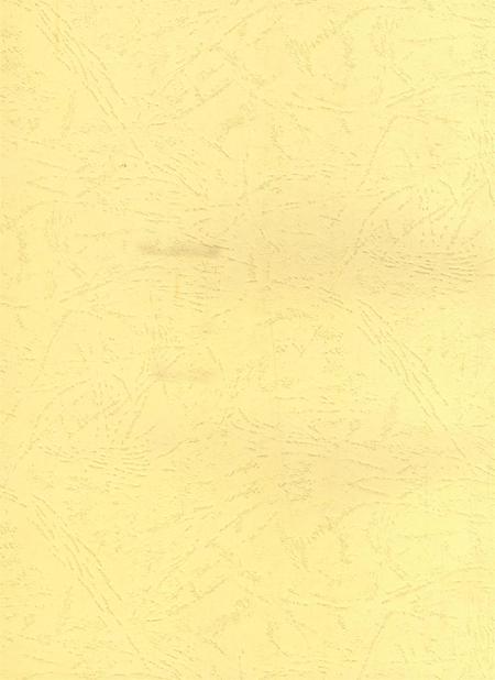 资阳统计年鉴（2003）.pdf电子版_四川省志插图2