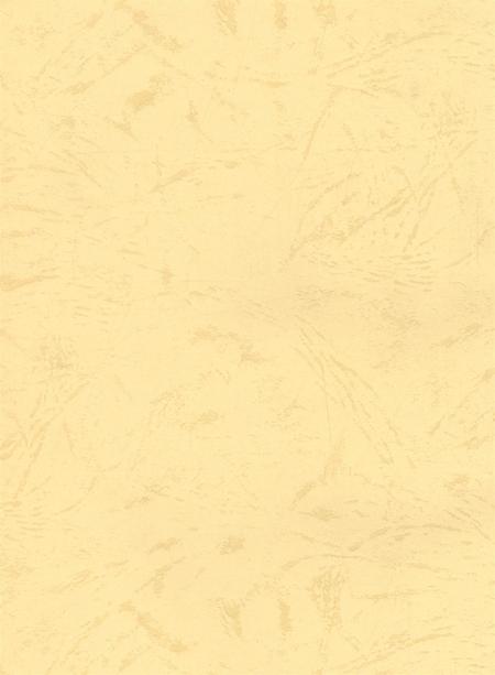 资阳统计年鉴（2004年）.pdf电子版_四川省志插图2