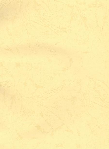 资阳统计年鉴（2005年）.pdf电子版_四川省志插图2