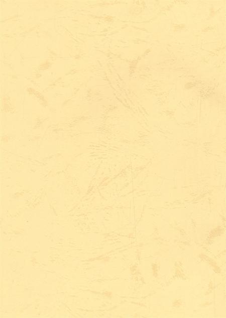 资阳统计年鉴（2006年）.pdf电子版_四川省志插图2