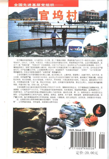 连江村志  下.pdf电子版_安徽省志插图2