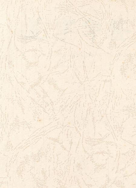 遂宁年鉴（2008年卷）.pdf电子版_四川省志插图2