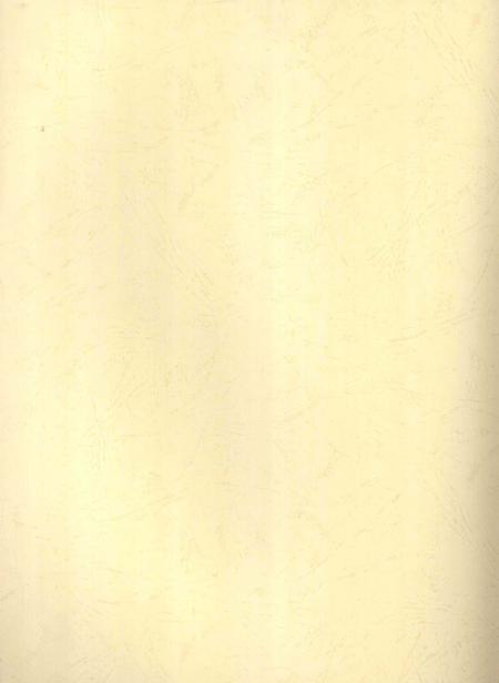 郴州年鉴2007.pdf电子版_湖南省志插图2