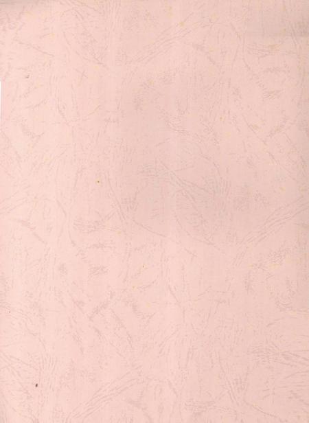 郴州年鉴2009.pdf电子版_湖南省志插图2