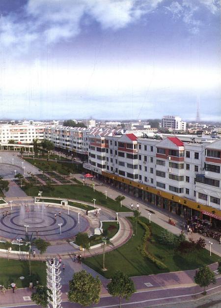 镇平县人口和计划生育志.pdf电子版_河南省志插图2