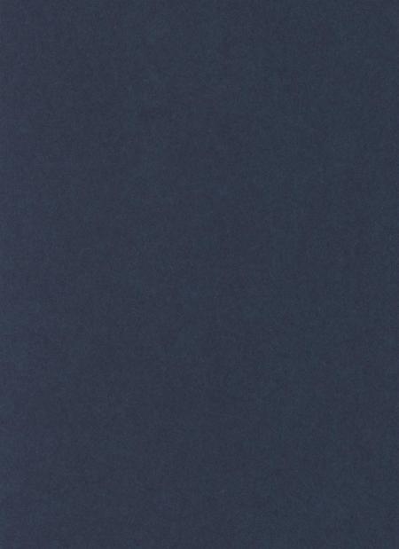 防城港公安志.pdf电子版_广西壮族自治区志插图2