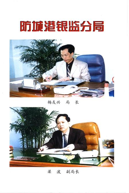 防城港市大事记（1998-2003）.第二辑.pdf电子版_广西壮族自治区志插图2