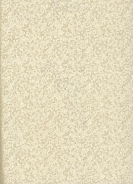 防城港市第三次全国文物普查：文物点名录.pdf电子版_广西壮族自治区志插图2