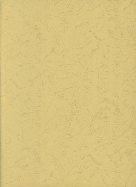 防城港市防城区地名志.pdf电子版_广西壮族自治区志插图2