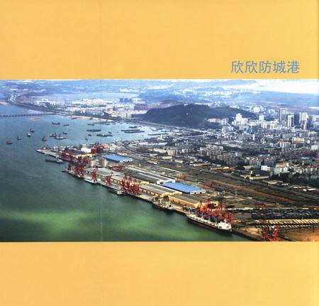 防城港文化遗产从书.历文化遗产部分.pdf电子版_广西壮族自治区志插图2