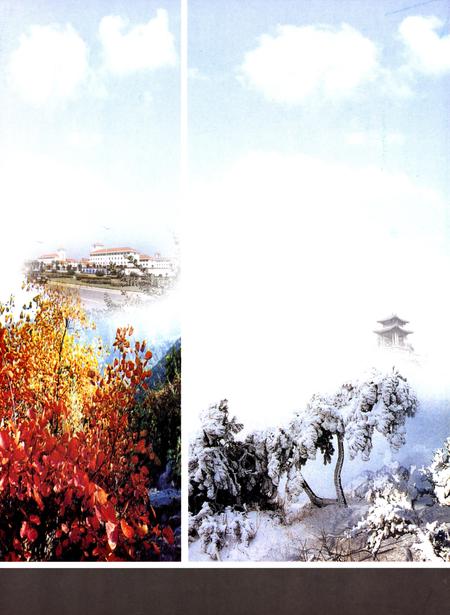 许昌年鉴2003.pdf电子版_河南省志插图2